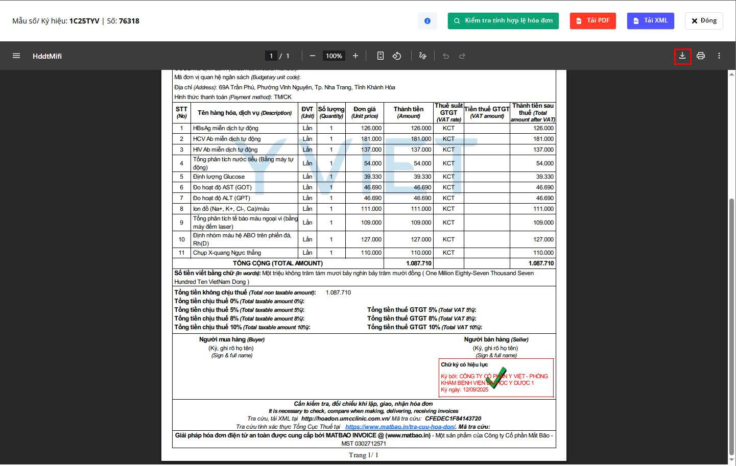 Ví dụ hướng dẫn tra cứu hóa đơn